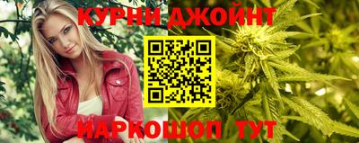 сатива Обь